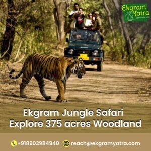 WhatsApp Image 2024-05-16 at 12.02.34 PM