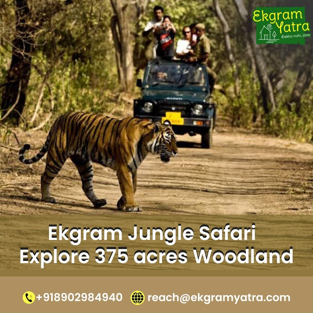 WhatsApp Image 2024-05-16 at 12.02.34 PM