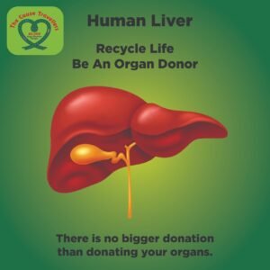 WhatsApp Image 2024-05-16 at 12.13.22 PM