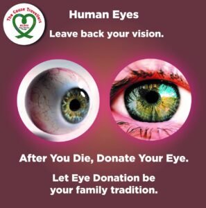 WhatsApp Image 2024-05-16 at 12.13.23 PM (1)