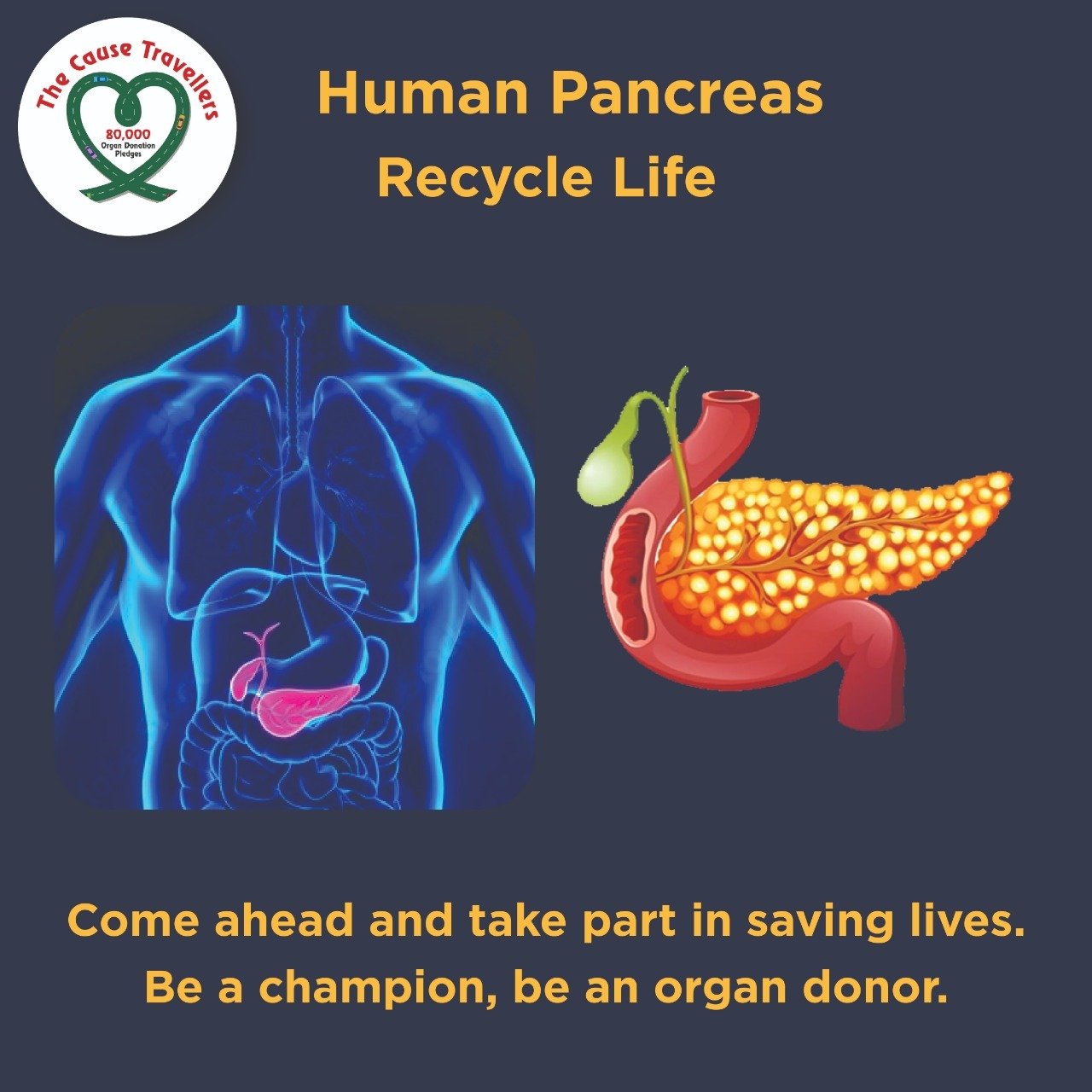 WhatsApp Image 2024-05-16 at 12.13.23 PM (2)