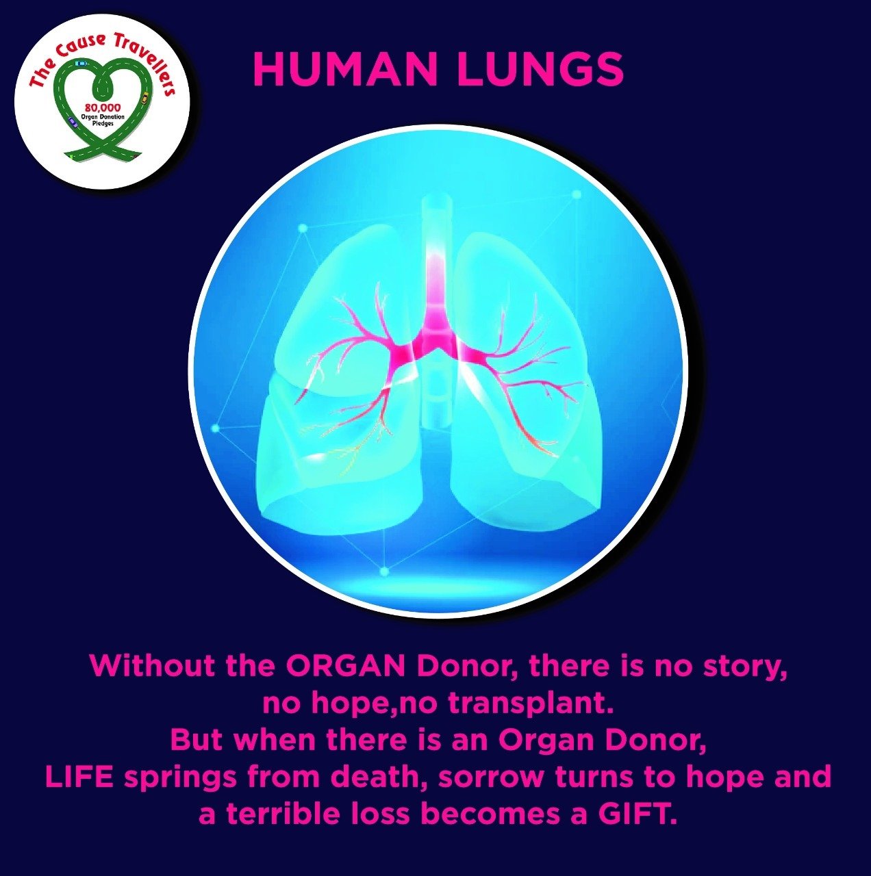 WhatsApp Image 2024-05-16 at 12.13.24 PM